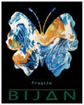 Fragile Poster